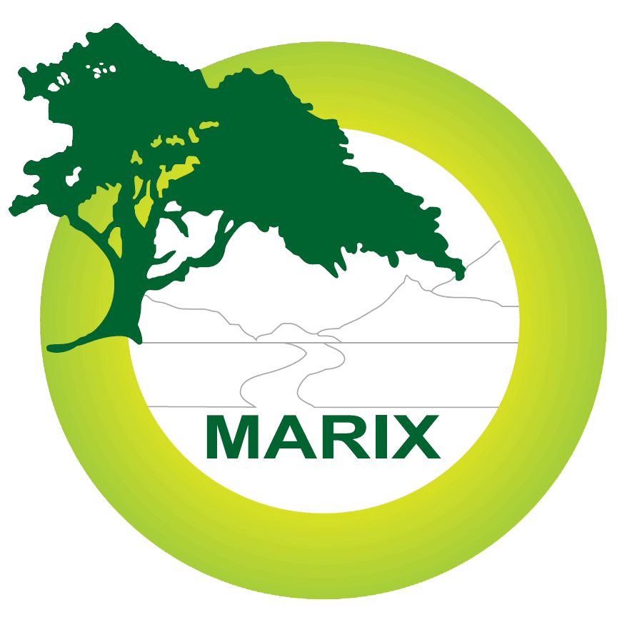 Marix