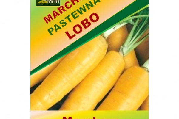 Ogłoszenie - Nasiona marchwi pastewnej - LOBO - 4,40 zł