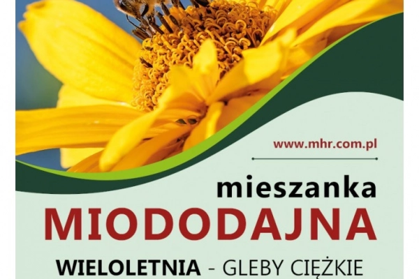 Ogłoszenie - Nasiona mieszanki miododajnej-wieloletnia (gleby ciężkie) - 15,00 zł