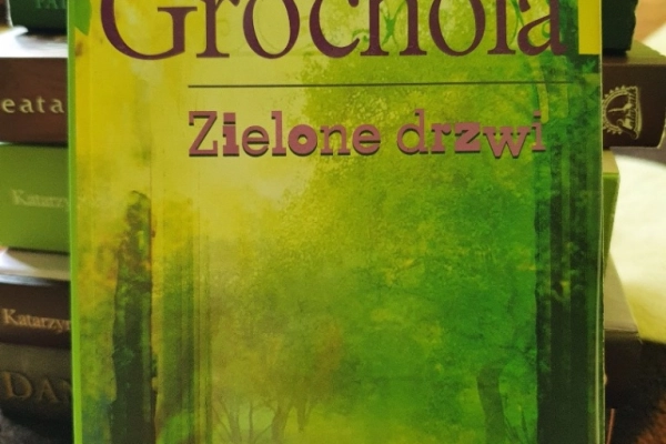 Ogłoszenie - Katarzyna Grochola - książki - 40,00 zł