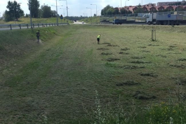 Ogłoszenie - Firma zatrudni osoby do pielęgnacji zieleni.