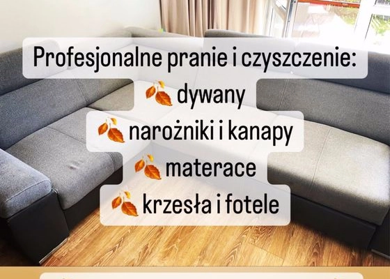 Ogłoszenie - Oczyszczanie działek-mulczer-wycinka drzew-niwelacja-glebogryzarka