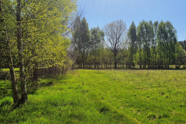 Ogłoszenie - Działka rolno-budowlana w Prusowym Borku k. Szczytna! - Szczytno - 340 000,00 zł