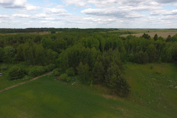 Ogłoszenie - Działki w malowniczej miejscowości Rumy, przy lesie (NOWA NIŻSZA CENA) - Warmińsko-mazurskie - 69 000,00 zł