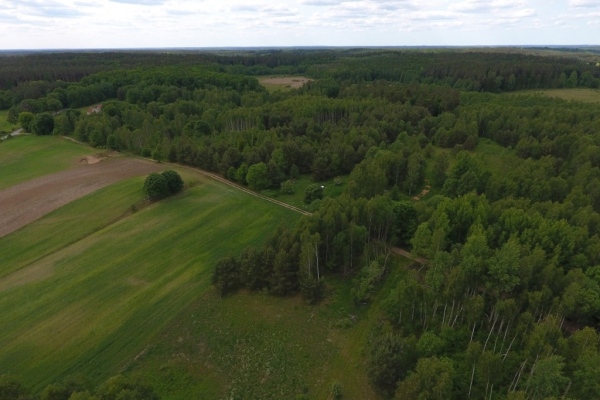 Ogłoszenie - Działki w malowniczej miejscowości Rumy, przy lesie (NOWA NIŻSZA CENA) - Warmińsko-mazurskie - 69 000,00 zł