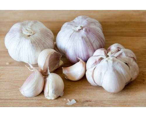 Ogłoszenie - fresh garlic - Szwecja - 8,00 zł