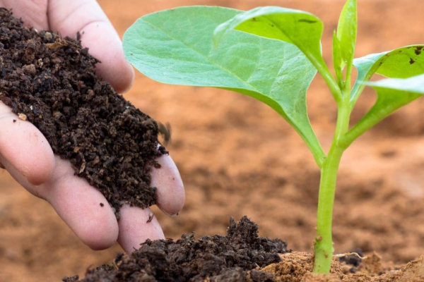 Ogłoszenie - Dlaczego Agrogotówka jest liderem w branży pożyczek pod zastaw gruntów - Elbląg - 1,00 zł