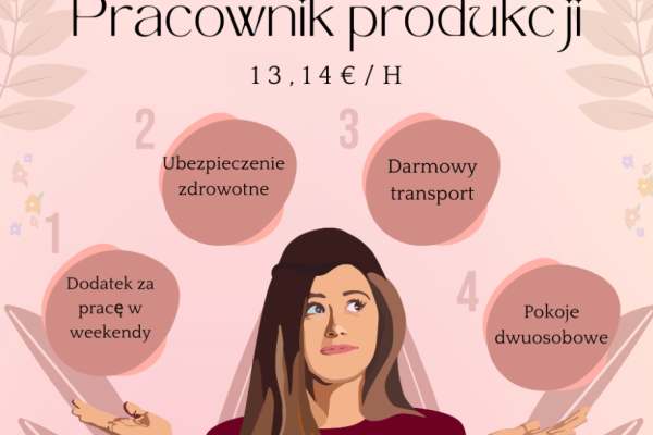 Ogłoszenie - Pracownik: w szklarni, sortowni, na produkcja - Holandia - 60,00 zł