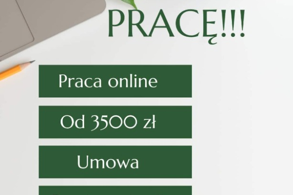 Ogłoszenie - Praca zdalna 3 godziny dziennie - Lubuskie - 5 500,00 zł