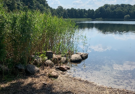 Ogłoszenie - Działki nad jeziorem - Zachodniopomorskie - 6 000 000,00 zł