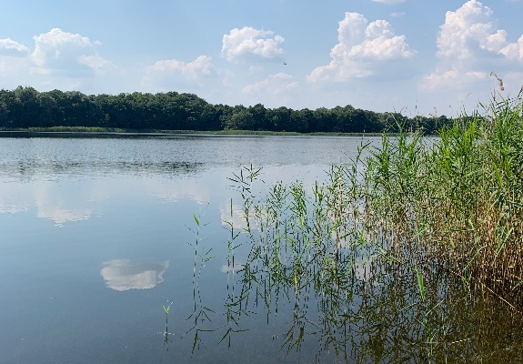 Ogłoszenie - Działki nad jeziorem - Zachodniopomorskie - 6 000 000,00 zł