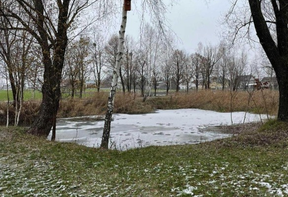 Ogłoszenie - Sprzedam działkę ROD Rogówko do negocjacji - Kujawsko-pomorskie - 60 000,00 zł