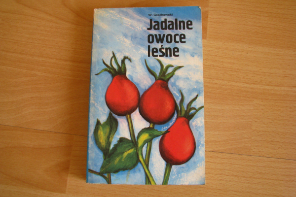 Ogłoszenie - Jadalne owoce leśne - Wiesław Grochowski poradnik - Kraków - 19,00 zł