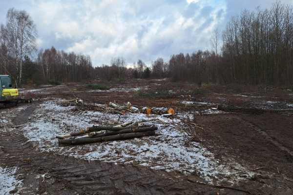 Ogłoszenie - Wycinka drzew Mulczer Leśny Mulczer Wgłębny Karczowanie Mulczowanie - Śląskie - 1,00 zł