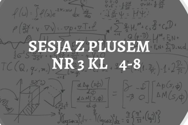 Ogłoszenie - Sesja z Plusem nr 3 - 25,00 zł