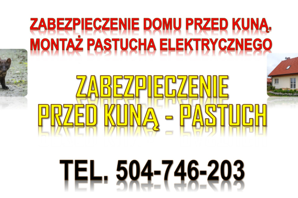 Ogłoszenie - Ile kosztuje pastuch elektryczny na kuny? Tel. 504-746-203, montaż. Zabezpieczenie domu przed kuną.