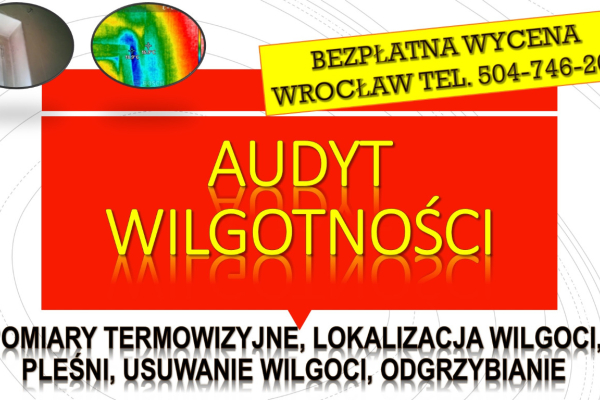 Ogłoszenie - Wykrycie pleśni, tel. 504-746-203. Wrocław, wykrywanie, pleśń, lokalizacja wycieku, wilgoci. Osuszanie mieszkania. - Wrocław