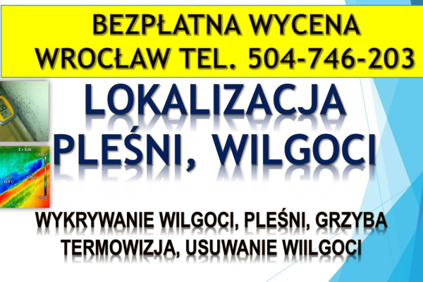 Ogłoszenie - Wykrycie grzyba w mieszkaniu, tel. 504-746-203, Wrocław, lokalizacja pleśni i wilgoci.   Jak pozbyć się grzyba ? - Wrocław