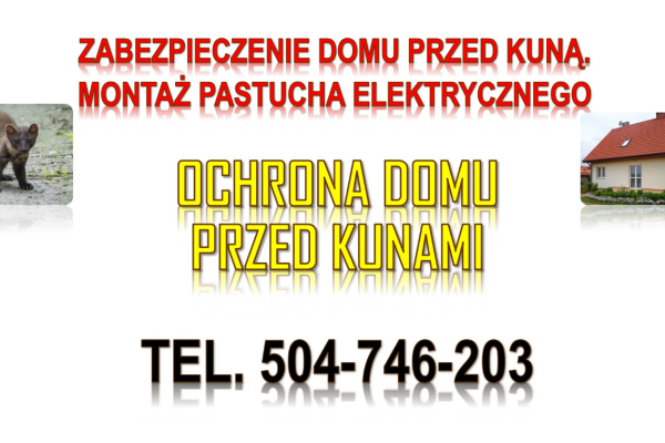 Ogłoszenie - Ile kosztuje pastuch elektryczny na kuny? Tel. 504-746-203, montaż. Zabezpieczenie domu przed kuną.