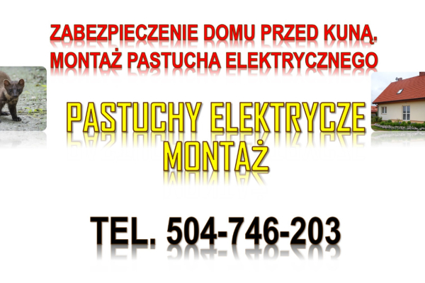 Ogłoszenie - Ile kosztuje pastuch elektryczny na kuny? Tel. 504-746-203, montaż. Zabezpieczenie domu przed kuną.