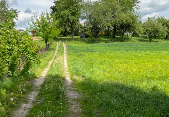 Ogłoszenie - Dzialka Bardzo Atrakcyjna - Kielce - 680 000,00 zł