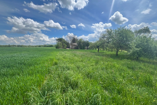 Ogłoszenie - Dzialka Bardzo Atrakcyjna - Kielce - 680 000,00 zł