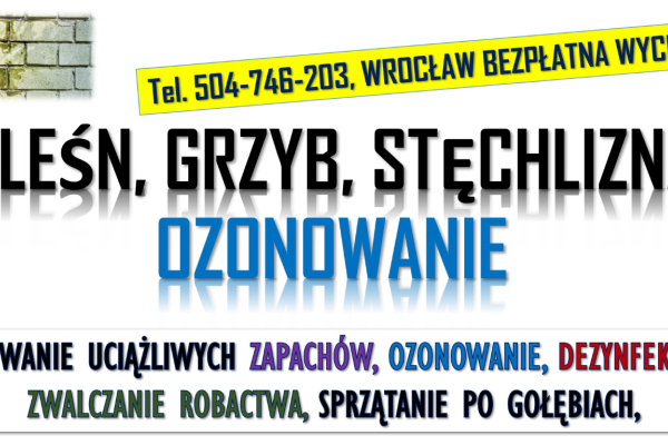 Ogłoszenie - Ozonowanie Wrocław, cennik, tel. 504-746-203. Usuwanie wirusów grzybów, pleśni  Odświeżania i likwidacja zapachów. - Wrocław