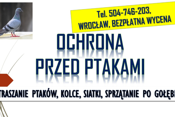 Ogłoszenie - Odstraszanie gołębi, Wrocław, tel. 504-746-203. Płoszenie ptaków, cena - Wrocław