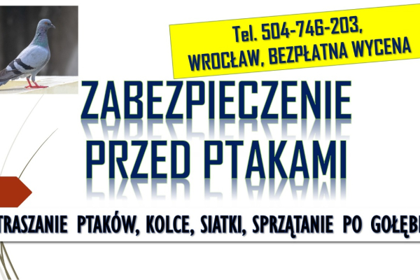 Ogłoszenie - Odstraszanie gołębi, Wrocław, tel. 504-746-203. Płoszenie ptaków, cena - Wrocław