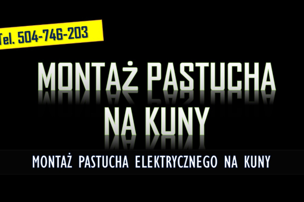 Ogłoszenie - Założenie pastucha na kuny tel.  504-746-203. Zamontowanie na domu elektrycznego zabezpieczenia.  Ile kosztuje montaż ? - Wrocław