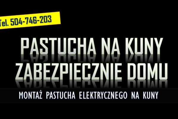 Ogłoszenie - Założenie pastucha na kuny tel.  504-746-203. Zamontowanie na domu elektrycznego zabezpieczenia.  Ile kosztuje montaż ? - Wrocław