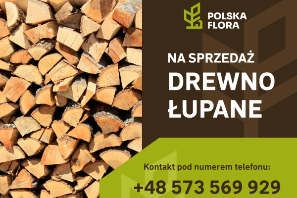 Ogłoszenie - Drewno łupane opałowe - Wieliczka - 250,00 zł