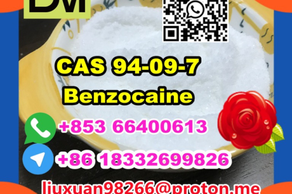 Ogłoszenie - Manufacturer Supply Raw Material CAS 94-09-7 Benzocaine - Lubuskie - 100,00 zł