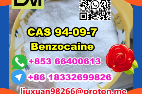 Ogłoszenie - Manufacturer Supply Raw Material CAS 94-09-7 Benzocaine - Lubuskie - 100,00 zł