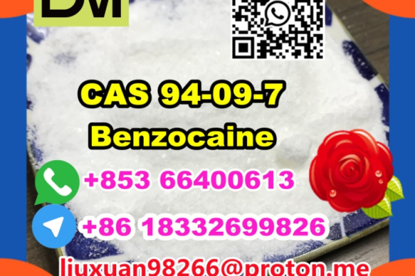 Ogłoszenie - Manufacturer Supply Raw Material CAS 94-09-7 Benzocaine - Lubuskie - 100,00 zł