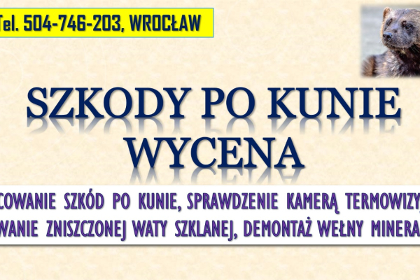 Ogłoszenie - Szacowanie szkód po kunie, tel. 504-746-203, Wrocław. Wycena szkody, wełna mineralna - Wrocław