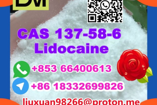 Ogłoszenie - Manufacturer Supply Raw Material CAS 137-58-6 Lidocaine - Żagań - 100,00 zł