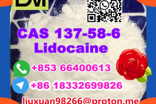 Ogłoszenie - Manufacturer Supply Raw Material CAS 137-58-6 Lidocaine - Olsztyn - 100,00 zł