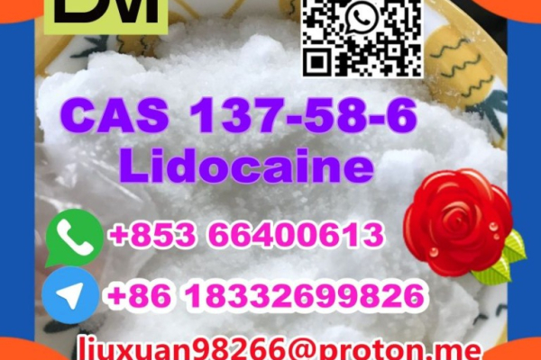 Ogłoszenie - Manufacturer Supply Raw Material CAS 137-58-6 Lidocaine - Żagań - 100,00 zł