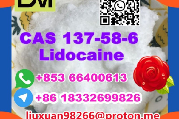 Ogłoszenie - Manufacturer Supply Raw Material CAS 137-58-6 Lidocaine - Kęty - 100,00 zł