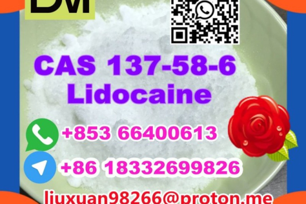 Ogłoszenie - Manufacturer Supply Raw Material CAS 137-58-6 Lidocaine - Kęty - 100,00 zł