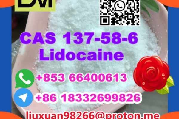 Ogłoszenie - Manufacturer Supply Raw Material CAS 137-58-6 Lidocaine - Kęty - 100,00 zł