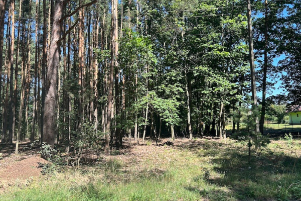 Ogłoszenie - Sprzedam działkę budowlaną w Choroń gmina Poraj - Śląskie - 490 000,00 zł