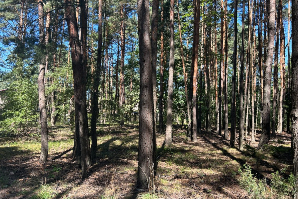 Ogłoszenie - Sprzedam działkę budowlaną w Choroń gmina Poraj - Śląskie - 490 000,00 zł