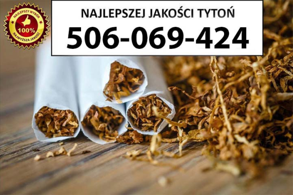 Ogłoszenie - Tytoń na wagę PREMIUM 80 PLN / 1KG - Pruszków - 80,00 zł