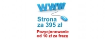 Ogłoszenie - Strona wizytówka Nowy Dwór Mazowiecki tania strona internetowa WWW strony - 395,00 zł