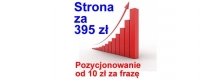 Ogłoszenie - Strona wizytówka Grodzisk Mazowiecki tania strona internetowa WWW strony mobilne - 395,00 zł