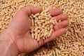 Ogłoszenie - BIOMASS WOOD PELLET - Sulęcin - 175,00 zł