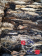 Ogłoszenie - RAW SKINS, SHEEPSKINS, SALTED SKINS, FUR LEATHER TREATMENT [Buy] - Islandia - 9,96 zł