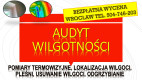 Ogłoszenie - Wykrycie pleśni, tel. 504-746-203. Wrocław, wykrywanie, pleśń, lokalizacja wycieku, wilgoci. Osuszanie mieszkania. - Wrocław